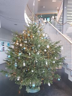Frohe Weihnachten und alles Gute für 2021